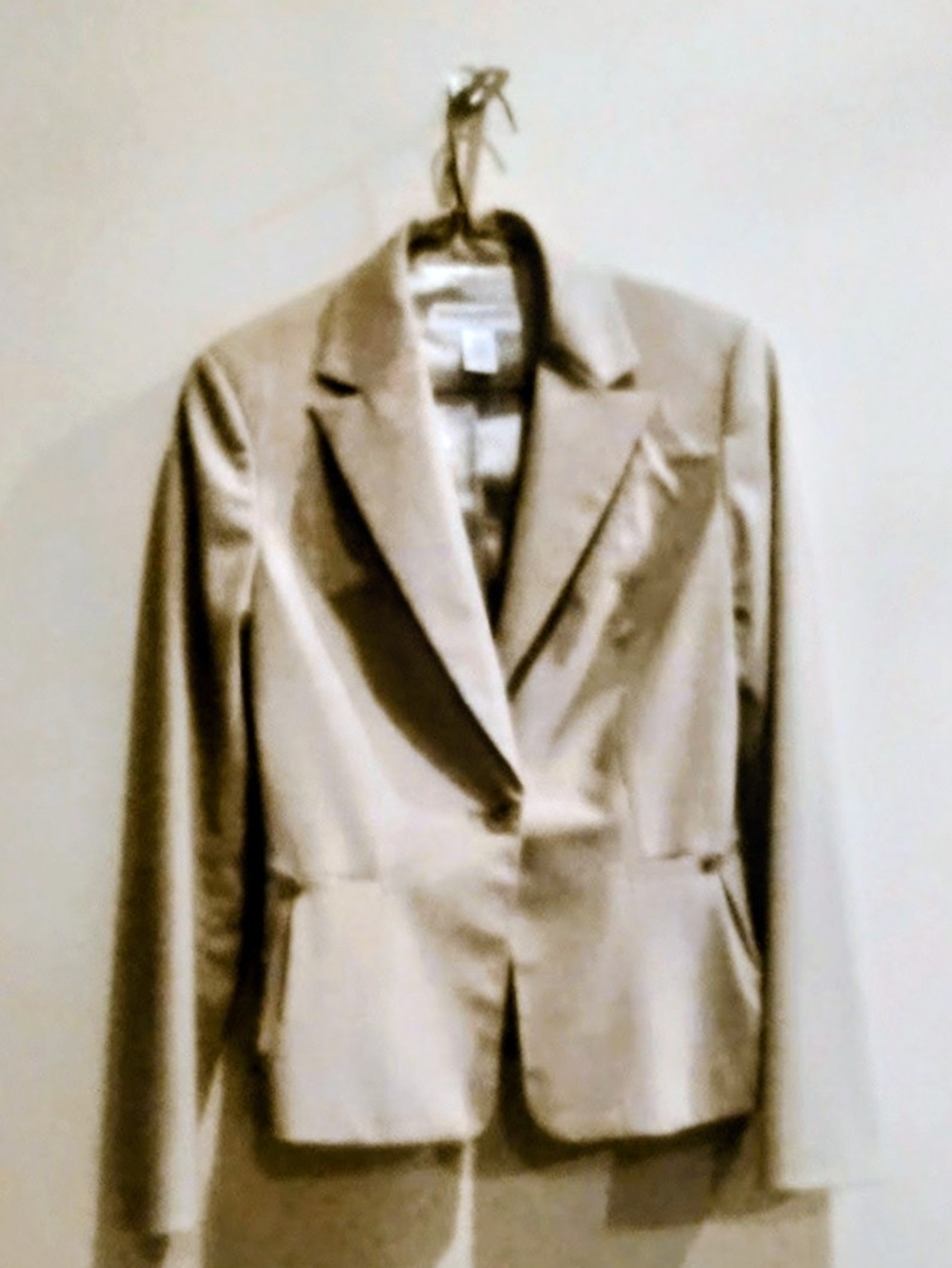 Banana Republic Taupe Single-Button Blazer